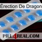 Érection De Dragon 22